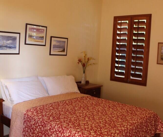 تختخواب و صبحانه The Crimson Orchid Inn At Orchid Bay