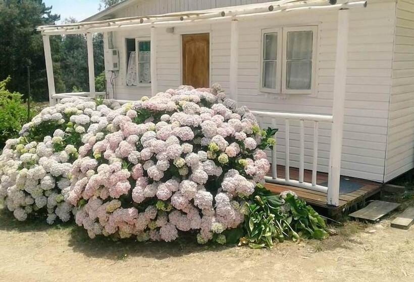 Cabañas Campestres Guarachi