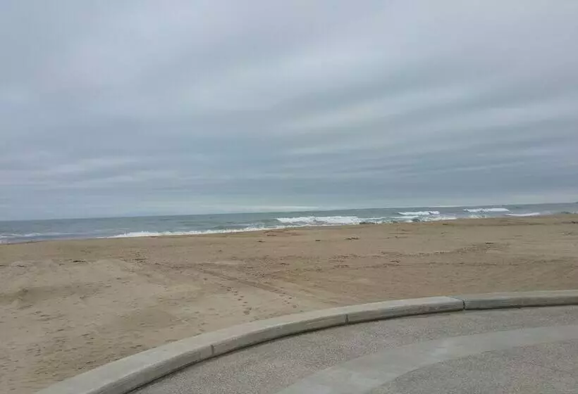 Hotelli 12 Ashworth Ave