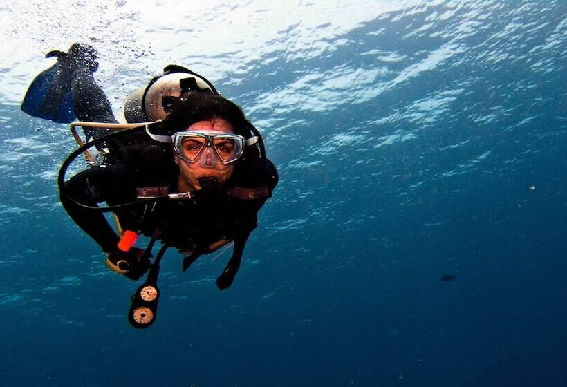 هتل Airstream Paradise