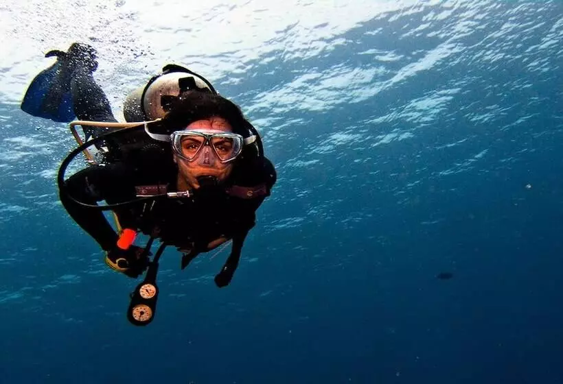 هتل Airstream Paradise