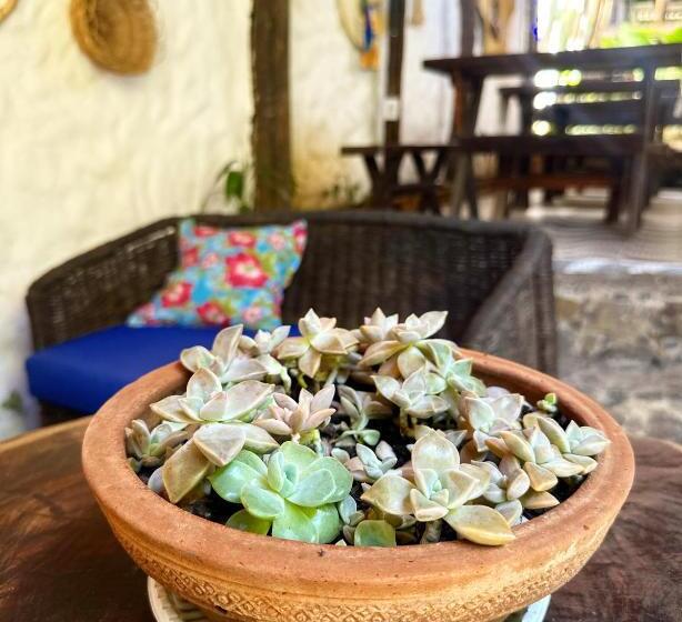 酒店 Pousada Boca Da Barra