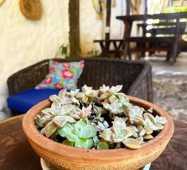 ホテル Pousada Boca Da Barra