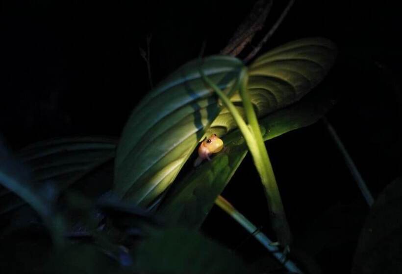 هتل Kakao Lodge & Garden Río Celeste