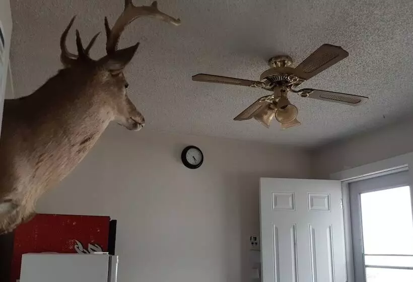 Hotelli Deerhead Inn