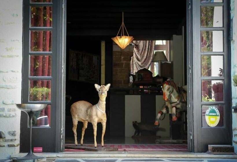 Отель Hôtel Les Biches