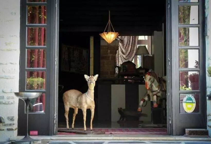 ホテル Hôtel Les Biches