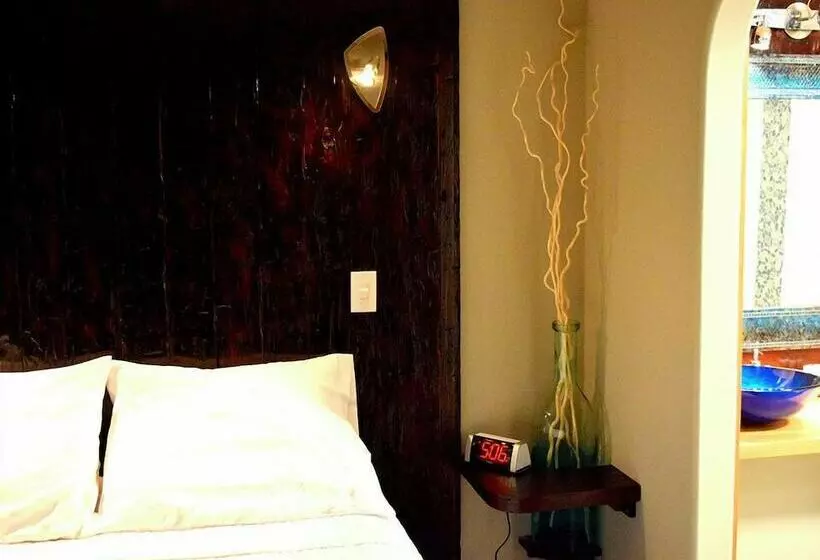 هتل South Africa House Guest Lodge