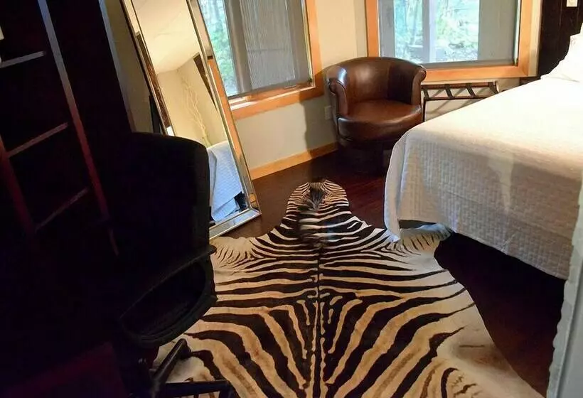 هتل South Africa House Guest Lodge