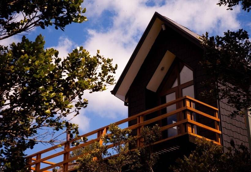 Parque Natural Rio Bravo Lodge