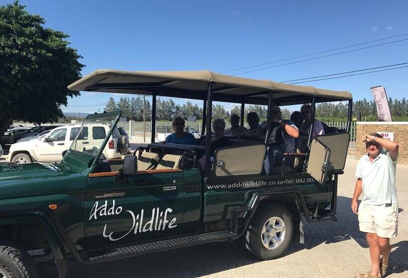 פנסיון Addo Wildlife