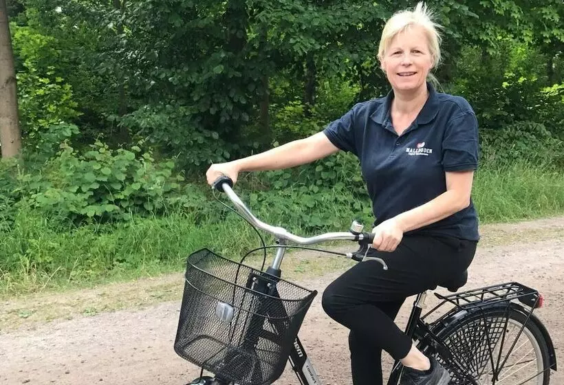 ペンション Mallboden Café & Vandrarhem