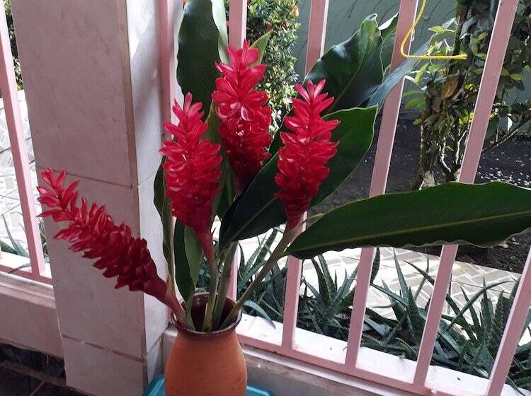 Pension Sunset Inn Valle Del Volcan