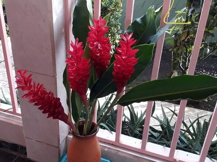 پانسیون Sunset Inn Valle Del Volcan