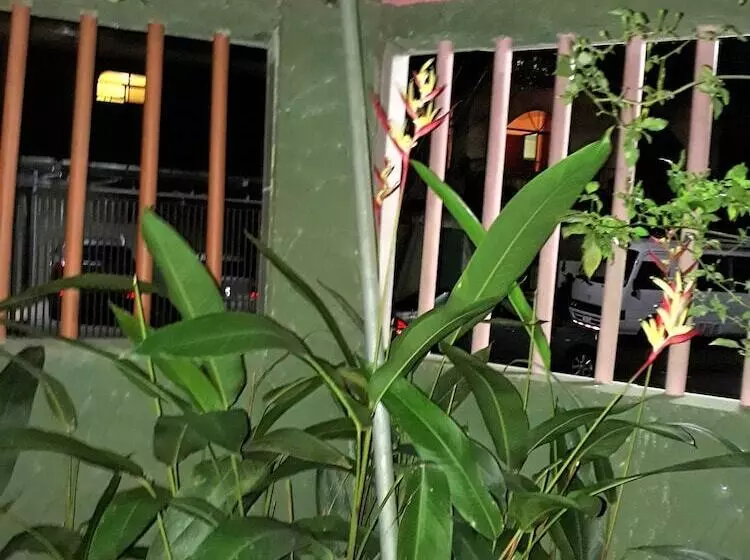 پانسیون Sunset Inn Valle Del Volcan