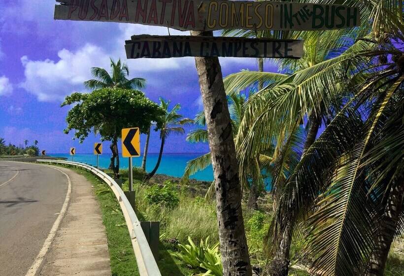 Posada Come So In The Bush