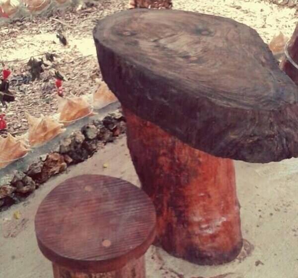 Posada Come So In The Bush