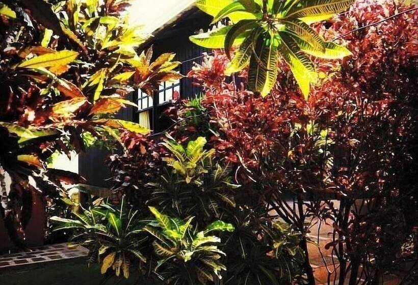 Posada Come So In The Bush