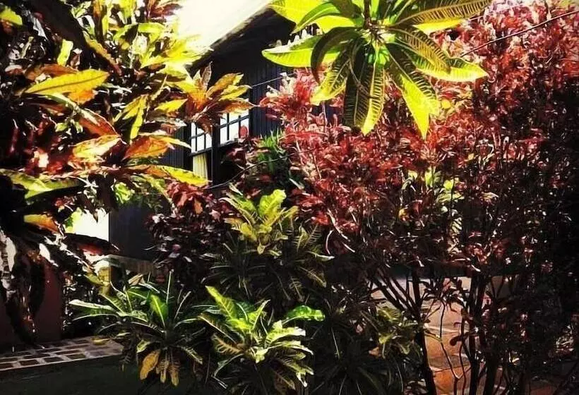 Posada Come So In The Bush