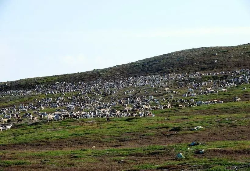 Storsätra Fjällhotell
