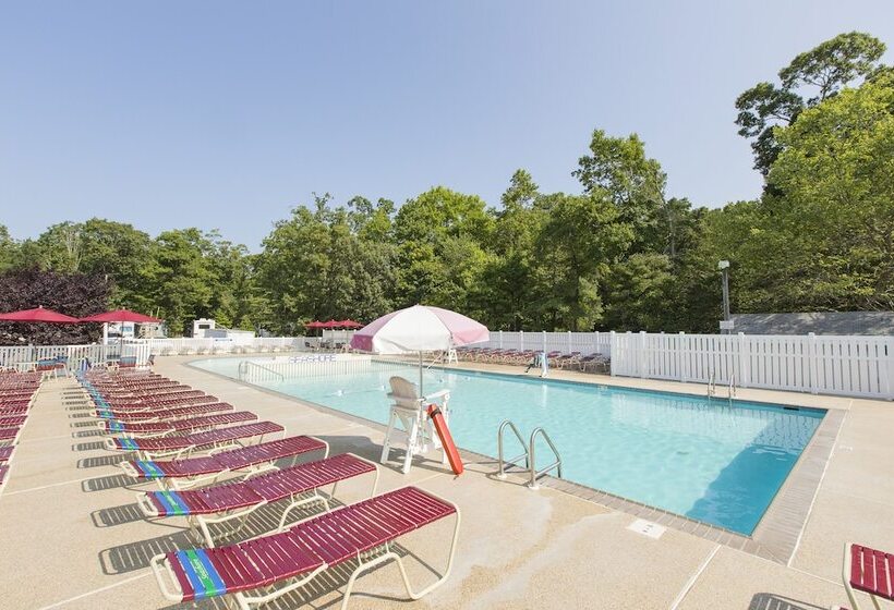 Sun Retreats Seashore