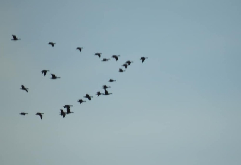 Alaska Adventure Cabins