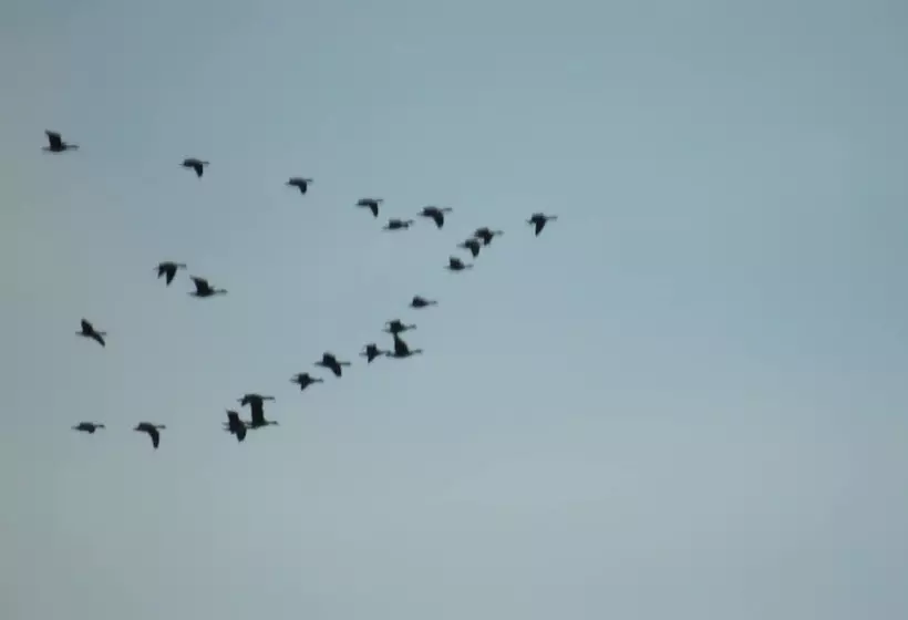 Alaska Adventure Cabins