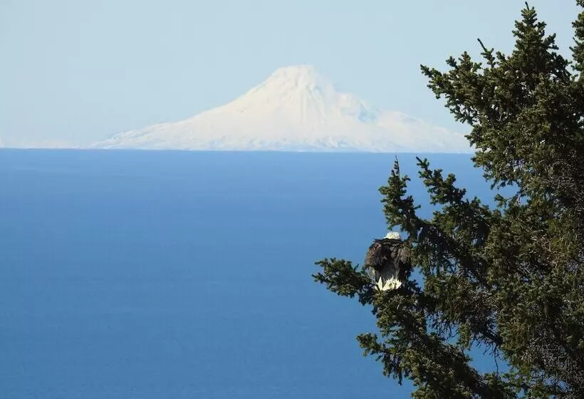 Alaska Adventure Cabins