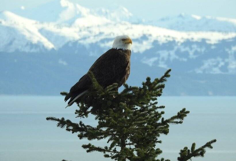 Alaska Adventure Cabins
