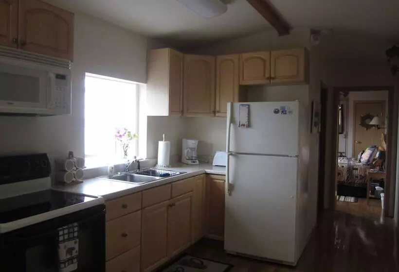 Alaska Adventure Cabins