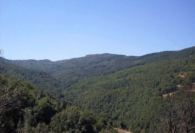 Bed and Breakfast Al Tetto Rosso