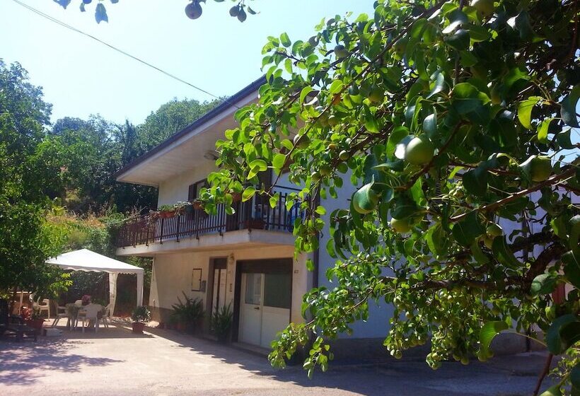 住宿加早餐 Al Tetto Rosso