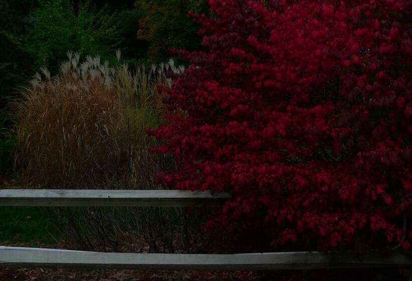 Bed & Breakfast Old Field House