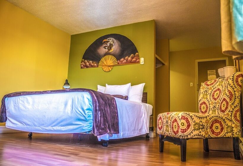 هتل Dreamcatcher Lodge