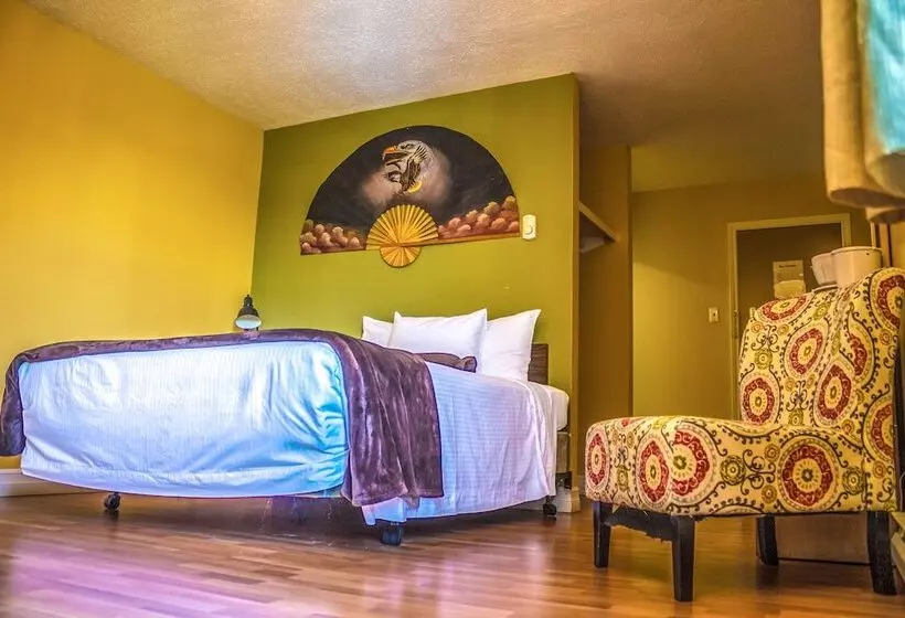 Hotelli Dreamcatcher Lodge