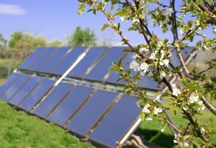 בית מלון כפרי El Canchal De La Gallina