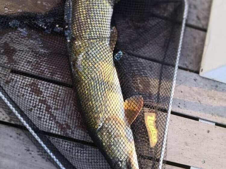 هتل Havel Cruiser Hausboot Flöße Mit Stil