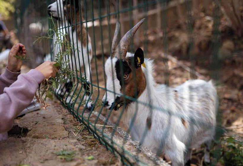ホテル Vvf Narbonne Plage Saint Pierre La Mer