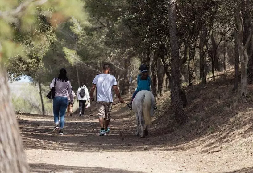 Hotelli Vvf Narbonne Plage Saint Pierre La Mer