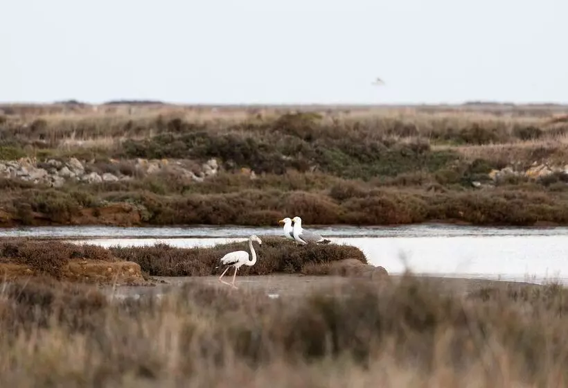 Hotelli Vvf Narbonne Plage Saint Pierre La Mer