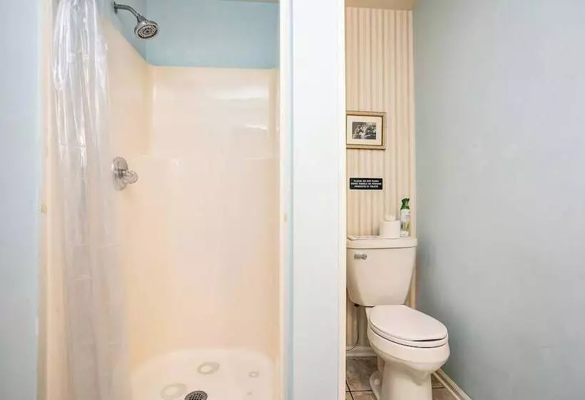 Maple Hill Manor Bed & Breakfast