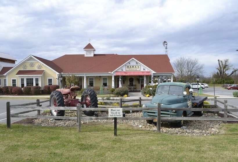 Mountain Majesty 2 Br Cabin By Redawning
