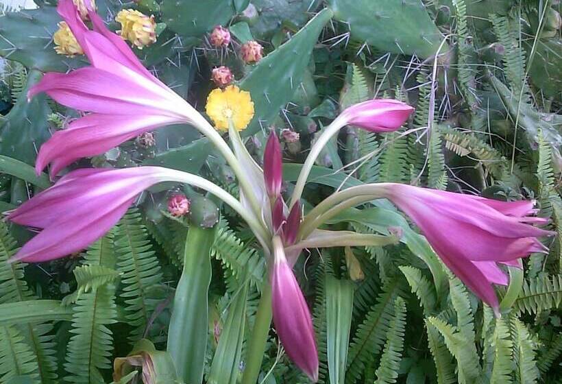 Pansiyon The Old Carrabelle