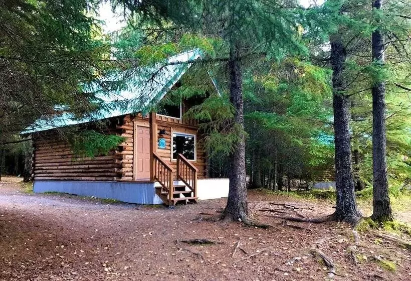 Renfro S Lakeside Retreat   Cabin S And R.v. Park