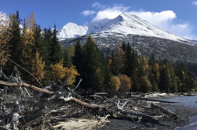 Renfro S Lakeside Retreat   Cabin S And R.v. Park