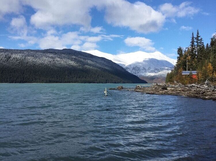 Renfro S Lakeside Retreat   Cabin S And R.v. Park