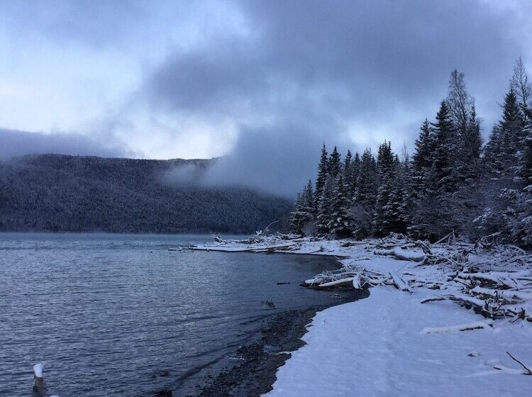 Renfro S Lakeside Retreat   Cabin S And R.v. Park