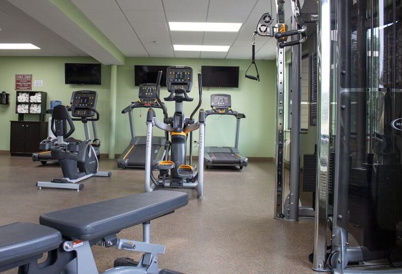 منتجع Wilderness At The Smokies   Stone Hill Lodge