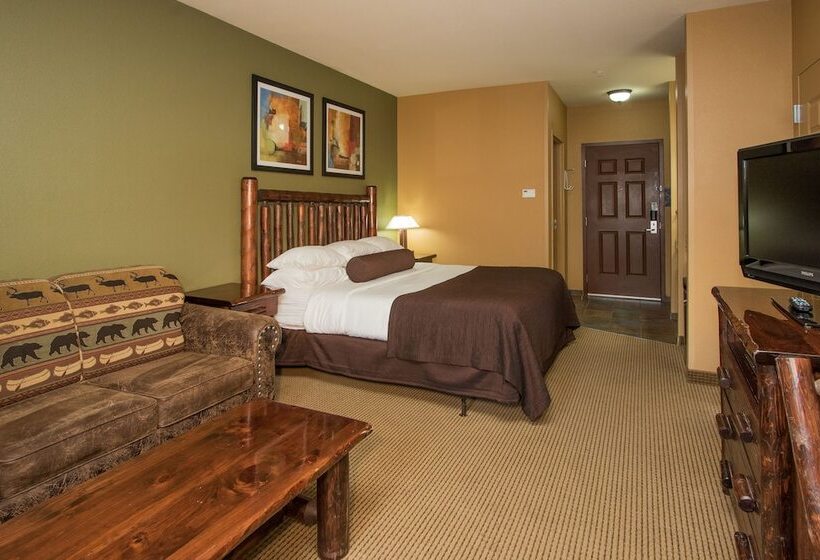 منتجع Wilderness At The Smokies   Stone Hill Lodge