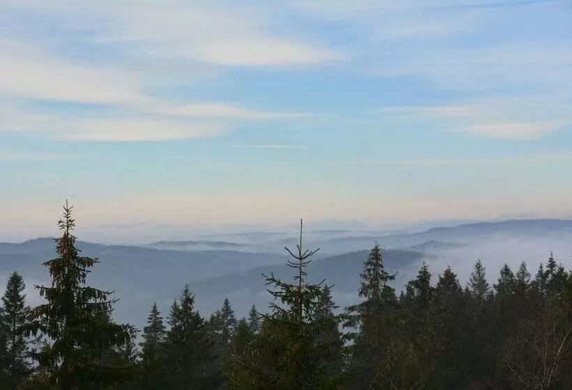 Skjerdingen Høyfjellshotell